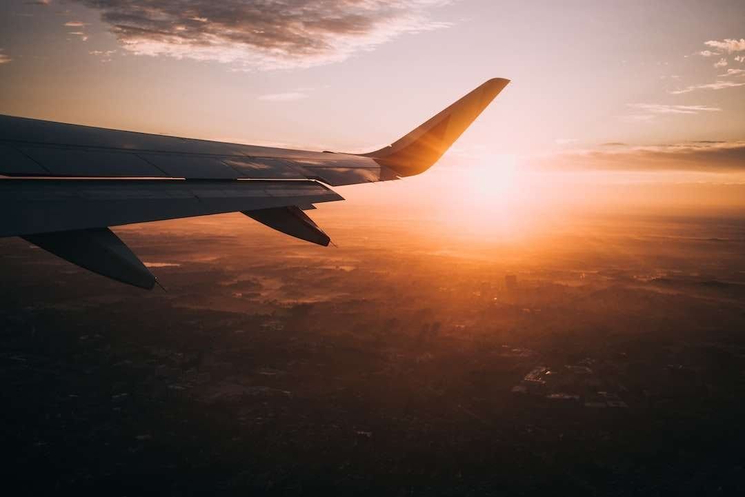 airplane wing with sunset on the background, travel with mini goldendoodle