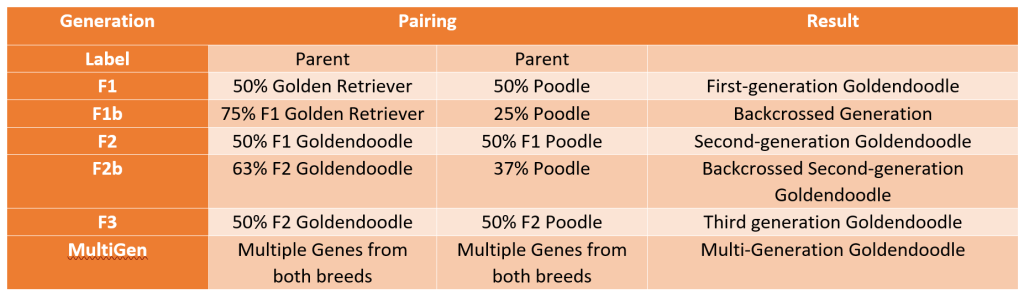 Mini Goldendoodle generations chart