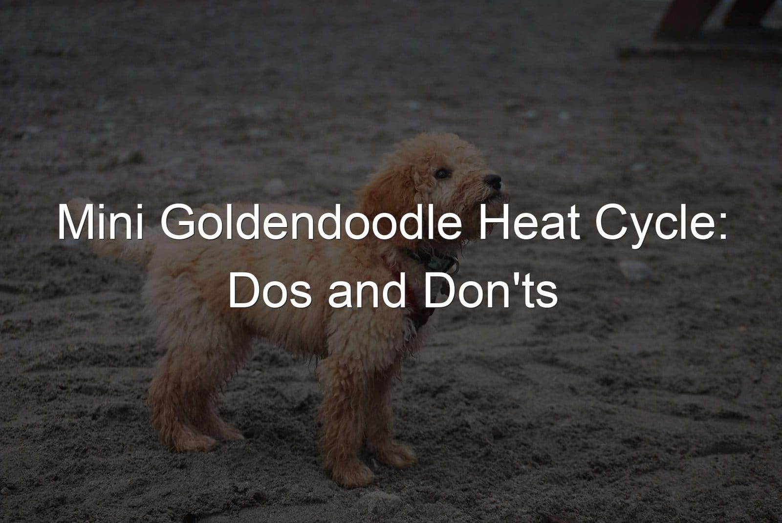 Keywords: heat cycle, dos and don'ts.